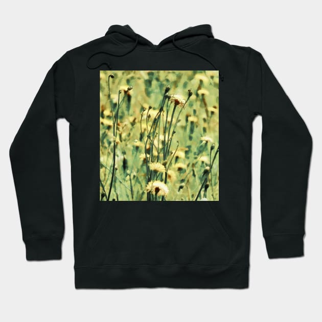 A Field of Summer Dreams Hoodie by PictureNZ